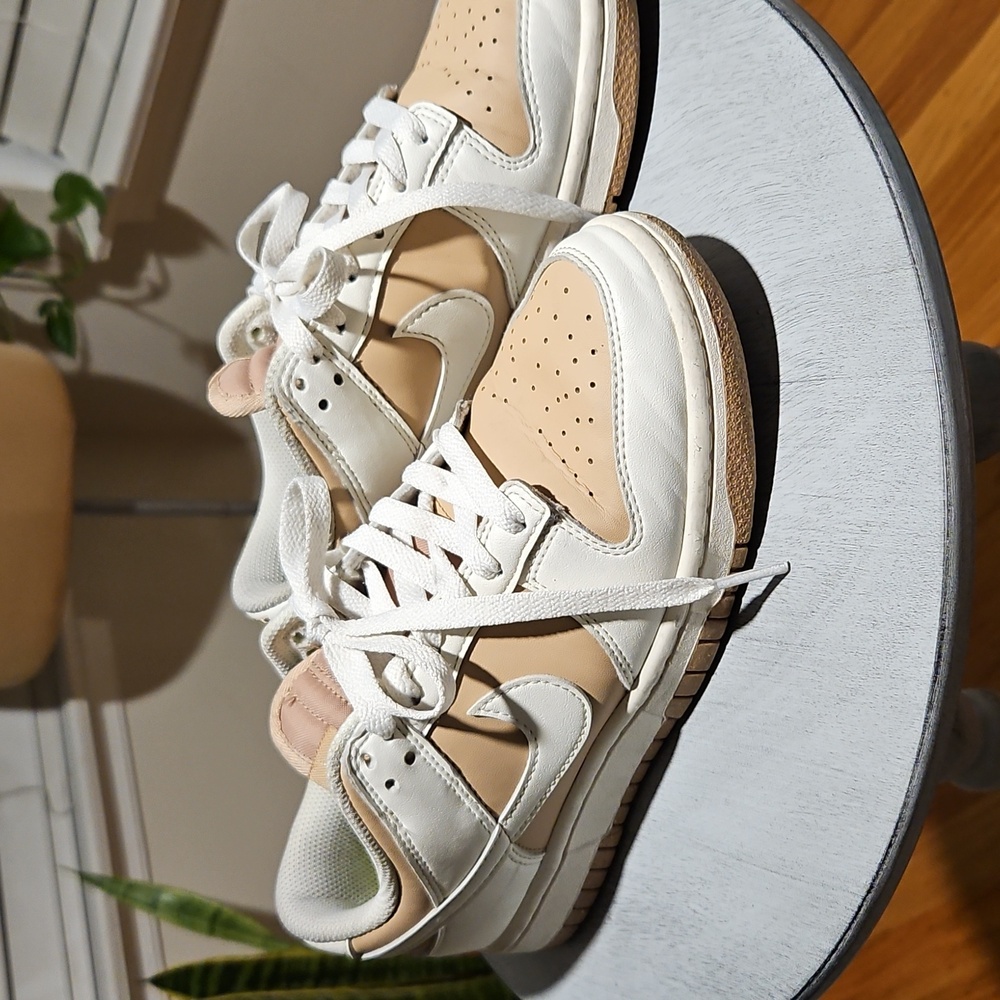 Nike Dunk Low Next Nature Casual Shoes